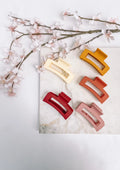 Colorful Jaw Clip
